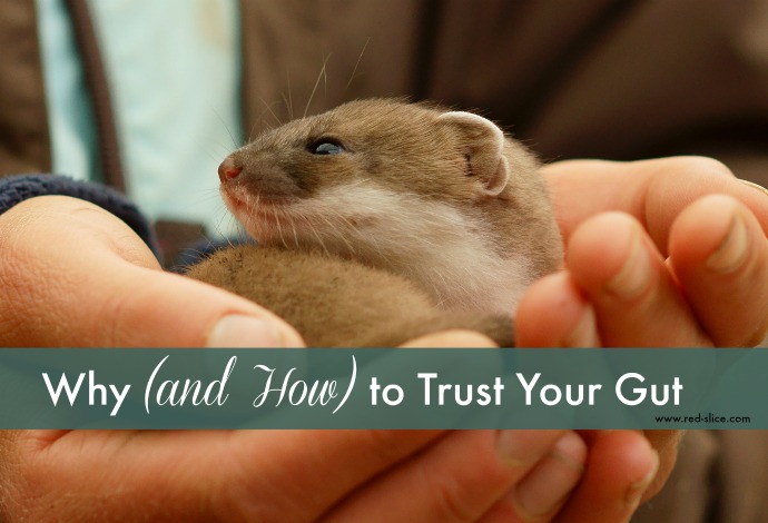 Why (and How) to Trust Your Gut